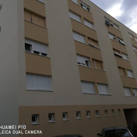 Apartment Mihaela Zara Esterno foto