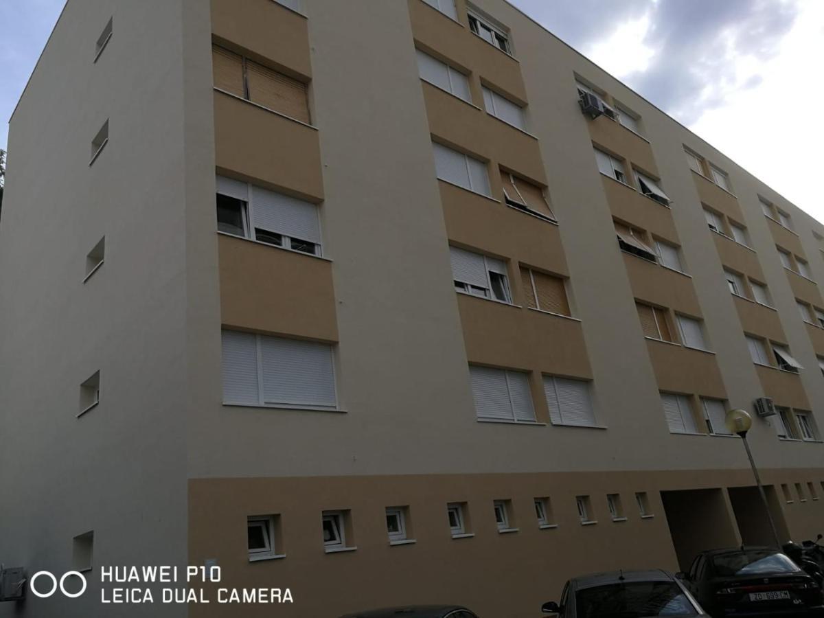 Apartment Mihaela Zara Esterno foto