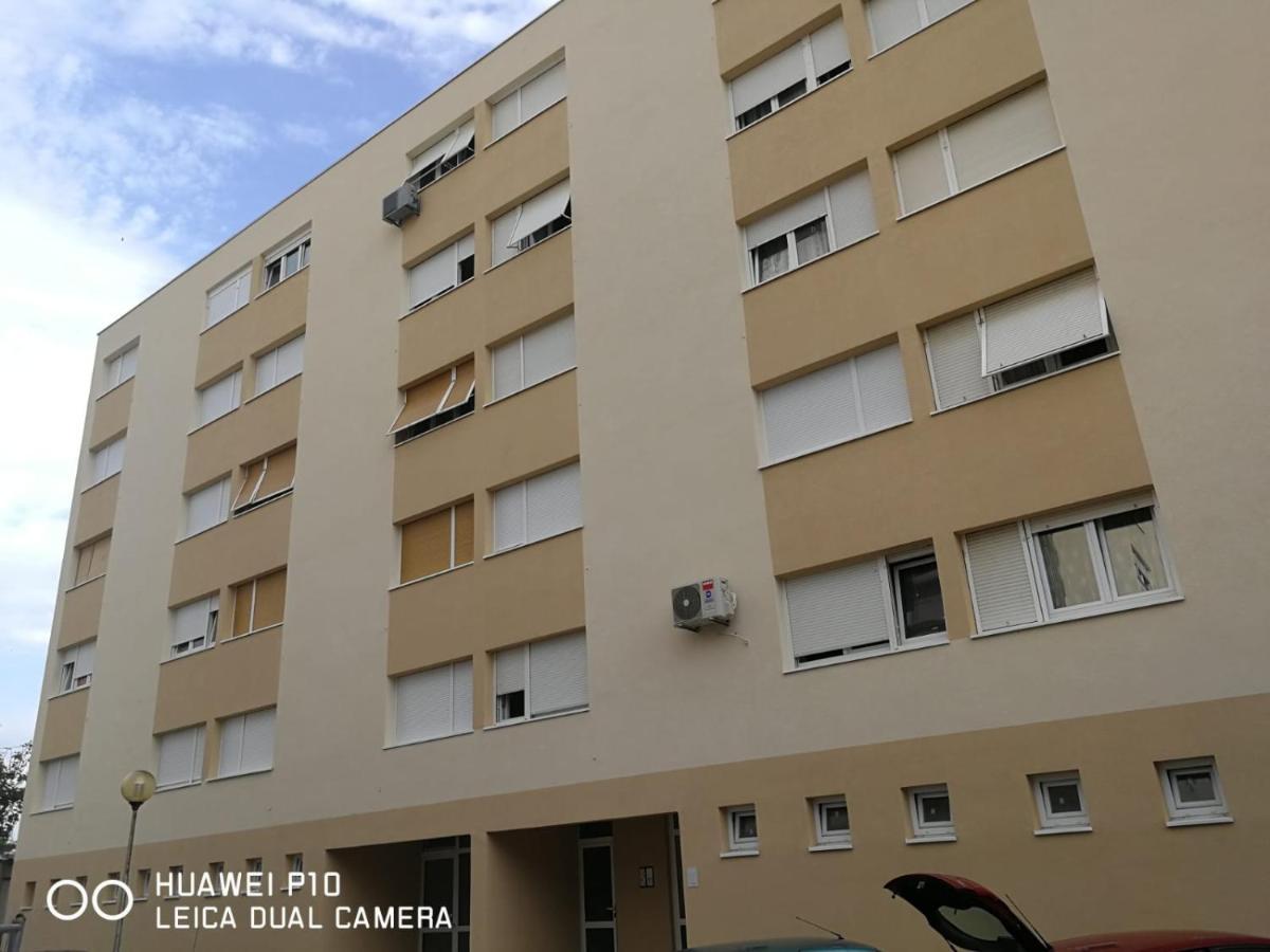Apartment Mihaela Zara Esterno foto